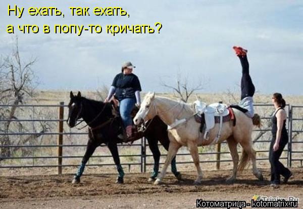 Ну ехать, так ехать, а что в попу-то кричать?... Котоматрица: Ну ехать, так ехать, а что в попу-то кричать?
