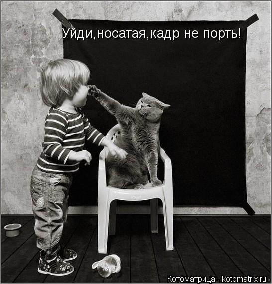 Уйди,носатая,кадр не порть!... Котоматрица: Уйди,носатая,кадр не порть!