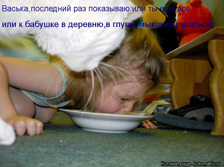 Васька,последний раз показываю:или ты ешь всё или к бабушке в деревню,в глушь-мышами питаться... Котоматрица: Васька,последний раз показываю:или ты ешь всё или к бабушке в деревню,в глушь-мышами питаться
