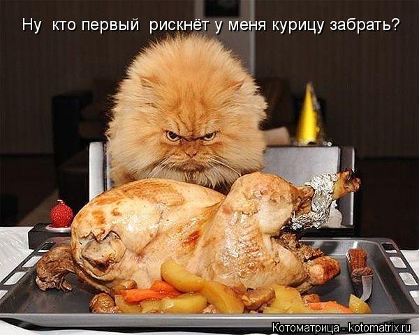 Ну кто первый рискнёт у меня курицу забрать?... Котоматрица: Ну кто первый рискнёт у меня курицу забрать?