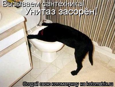 Вызываем сантехника! Унитаз засорён!... Котоматрица: Вызываем сантехника! Унитаз засорён!