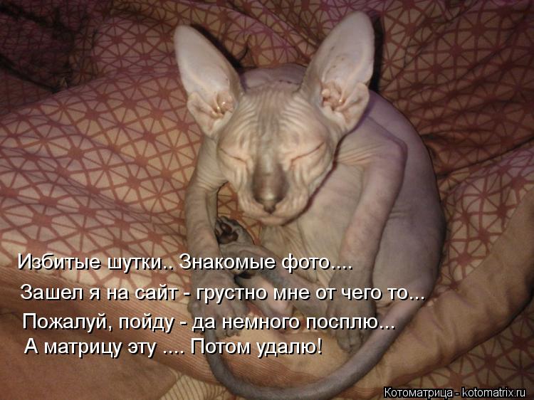 Избитые шутки.. Знакомые фото.... Зашел я на сайт - грустно мне от чего то... Пожалуй, пойду - да не... Котоматрица: Избитые шутки.. Знакомые фото.... Зашел я на сайт - грустно мне от чего то... Пожалуй, пойду - да немного посплю... А матрицу эту .... Потом удалю!