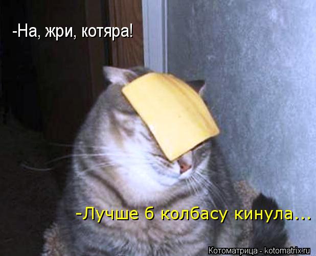 -На, жри, котяра! -Лучше б колбасу кинула...... Котоматрица: -На, жри, котяра! -Лучше б колбасу кинула...