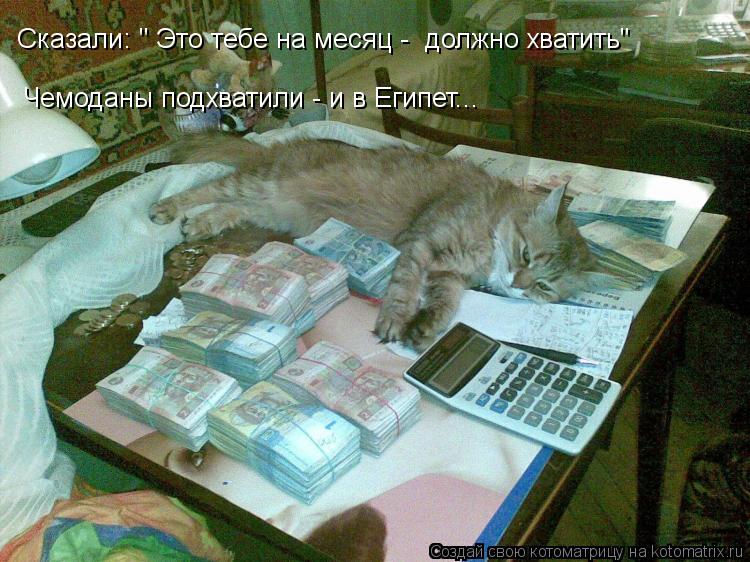 Сказали: " Это тебе на месяц - должно хватить" Чемоданы подхватили - и в Египет...... Котоматрица: Сказали: " Это тебе на месяц - должно хватить" Чемоданы подхватили - и в Египет...