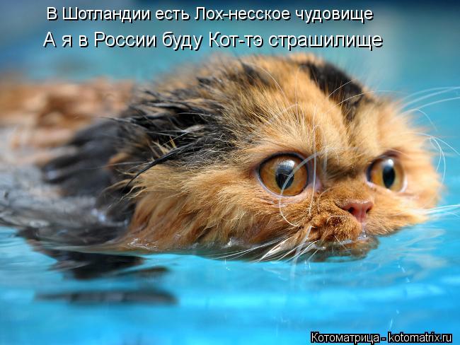 В Шотландии есть Лох-несское чудовище А я в России буду Кот-тэ страшилище... Котоматрица: В Шотландии есть Лох-несское чудовище А я в России буду Кот-тэ страшилище