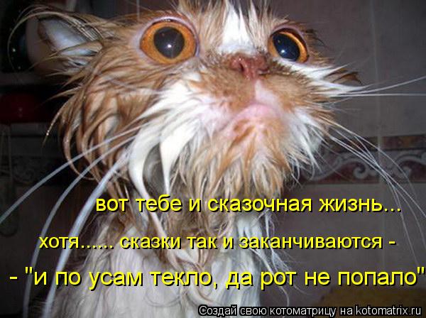 - "и по усам текло, да рот не попало" вот тебе и сказочная жизнь... хотя...... сказки так и заканчива... Котоматрица: - "и по усам текло, да рот не попало" вот тебе и сказочная жизнь... хотя...... сказки так и заканчиваются -