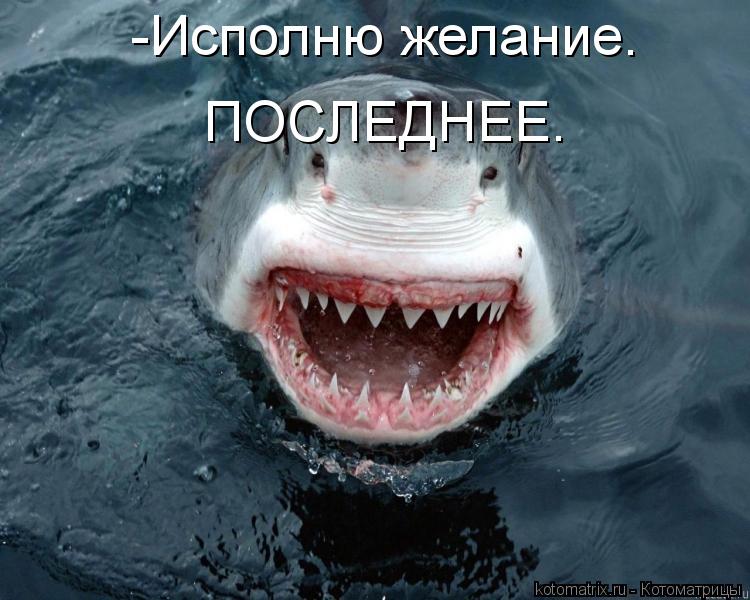 -Исполню желание. ПОСЛЕДНЕЕ.... Котоматрица: -Исполню желание. ПОСЛЕДНЕЕ.