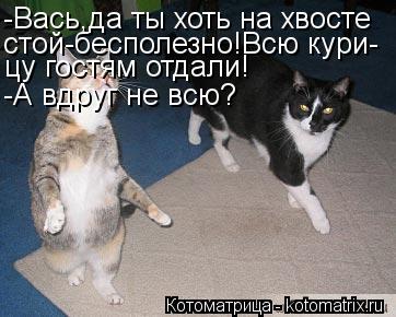 -Вась,да ты хоть на хвосте стой-бесполезно!Всю кури- цу гостям отдали! -А вдруг не всю?... Котоматрица: -Вась,да ты хоть на хвосте стой-бесполезно!Всю кури- цу гостям отдали! -А вдруг не всю?
