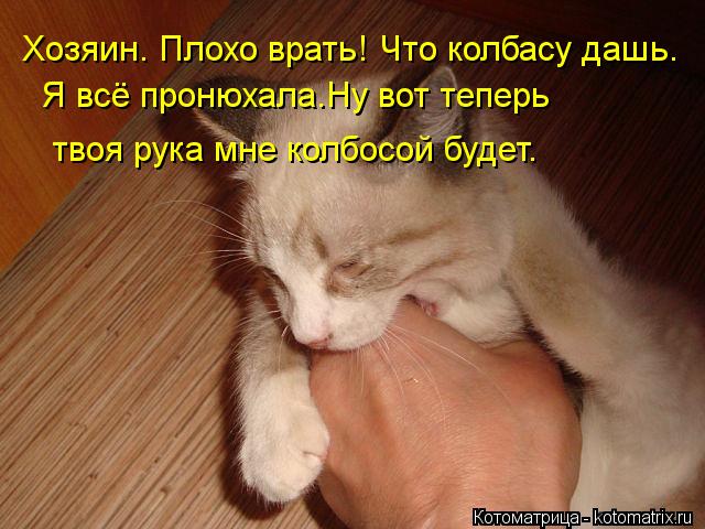 Хозяин. Плохо врать! Что колбасу дашь. Я всё пронюхала.Ну вот теперь твоя рука мне колбосой будет.... Котоматрица: Хозяин. Плохо врать! Что колбасу дашь. Я всё пронюхала.Ну вот теперь твоя рука мне колбосой будет.