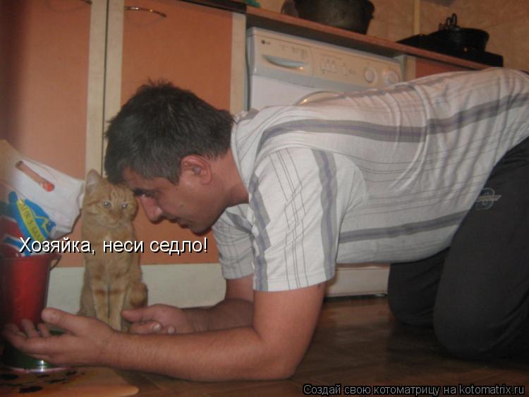 Хозяйка, неси седло!... Котоматрица: Хозяйка, неси седло!