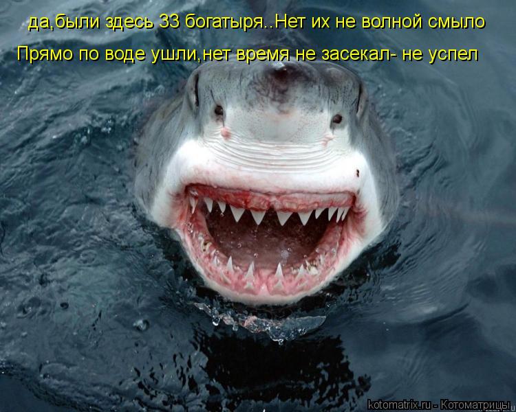 да,были здесь 33 богатыря..Нет их не волной смыло Прямо по воде ушли,нет время не засекал- не успел... Котоматрица: да,были здесь 33 богатыря..Нет их не волной смыло Прямо по воде ушли,нет время не засекал- не успел