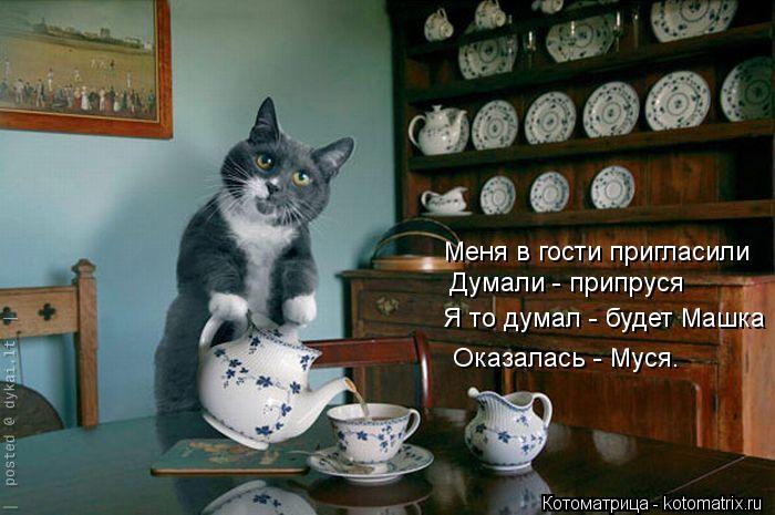 Меня в гости пригласили Думали - припруся Я то думал - будет Машка Оказалась - Муся.... Котоматрица: Меня в гости пригласили Думали - припруся Я то думал - будет Машка Оказалась - Муся.