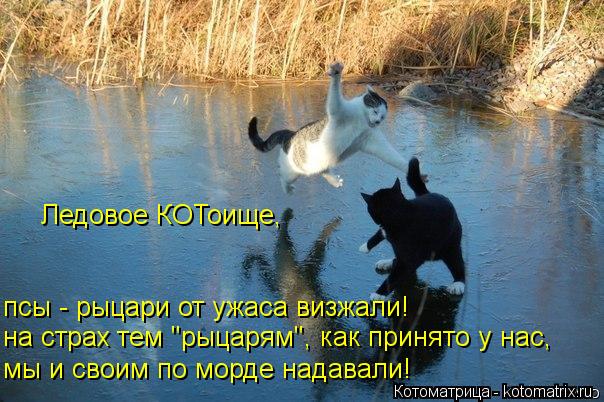 Ледовое КОТоище, псы - рыцари от ужаса визжали! мы и своим по морде надавали! на страх тем "рыцарям",... Котоматрица: Ледовое КОТоище, псы - рыцари от ужаса визжали! мы и своим по морде надавали! на страх тем "рыцарям", как принято у нас,