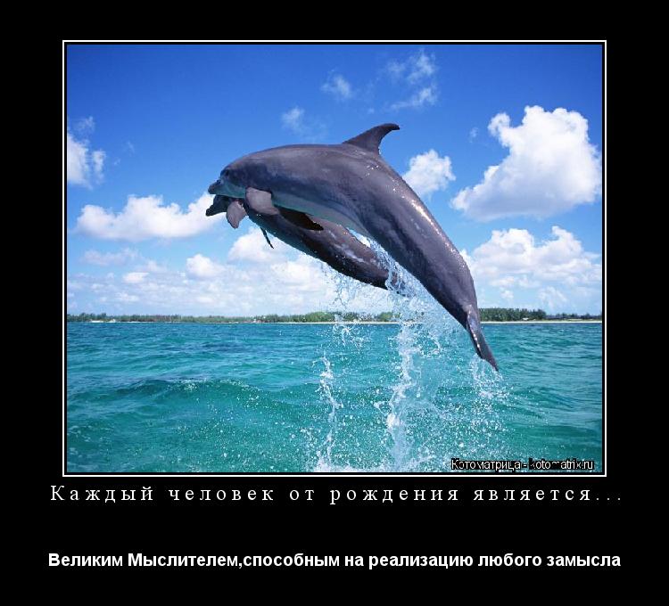 Каждый человек от рождения является... Великим Мыслителем,способным на реализацию любого замысла... Котоматрица: Каждый человек от рождения является... Великим Мыслителем,способным на реализацию любого замысла