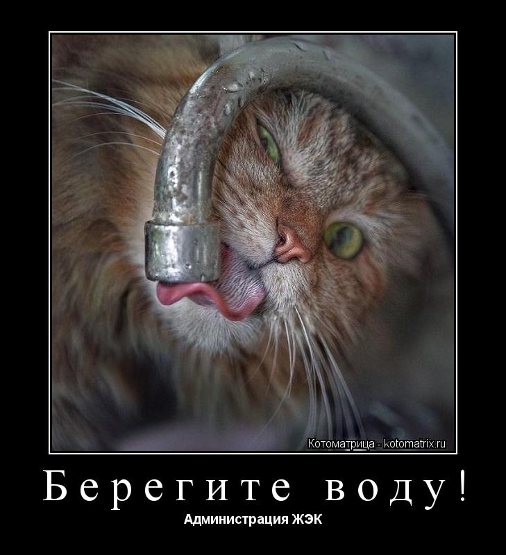 Берегите воду! Администрация ЖЭК... Котоматрица: Берегите воду! Администрация ЖЭК