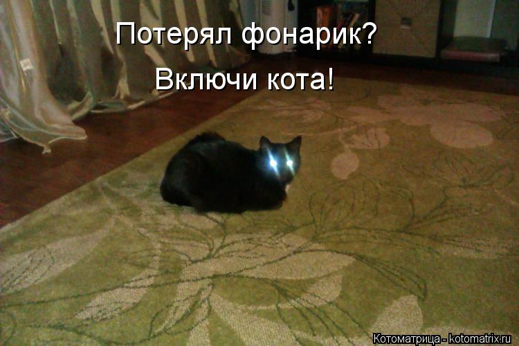Потерял фонарик? Включи кота!... Котоматрица: Потерял фонарик? Включи кота!