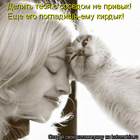Делить тебя с соседом не привык! Еще его погладишь-ему кирдык!... Котоматрица: Делить тебя с соседом не привык! Еще его погладишь-ему кирдык!