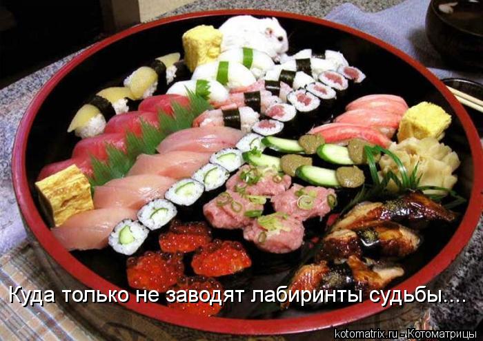 Куда только не заводят лабиринты судьбы....... Котоматрица: Куда только не заводят лабиринты судьбы....