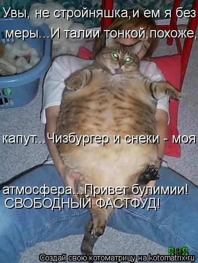 Увы, не стройняшка,и ем я без меры... меры...И талии тонкой,похоже, капут...Чизбургер и снеки - моя ... Котоматрица: Увы, не стройняшка,и ем я без меры... меры...И талии тонкой,похоже, капут...Чизбургер и снеки - моя атмосфера...Привет булимии! СВОБОДНЫЙ ФАСТФУД