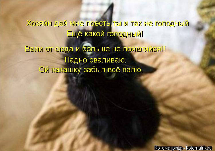 Хозяйн дай мне поесть,ты и так не голодный Ещё какой голодный! Вали от сюда и больше не появляйся!! Л... Котоматрица: Хозяйн дай мне поесть,ты и так не голодный Ещё какой голодный! Вали от сюда и больше не появляйся!! Ладно сваливаю. Ой какашку забыл всё валю.