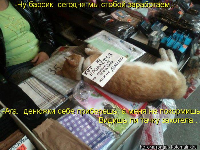 -Ну барсик, сегодня мы стобой заработаем.. Ага... денюжки себе приберешь, а меня не покормишь Ага... ... Котоматрица: -Ну барсик, сегодня мы стобой заработаем.. Ага... денюжки себе приберешь, а меня не покормишь Ага... денюжки себе приберешь, а меня не покормишь
