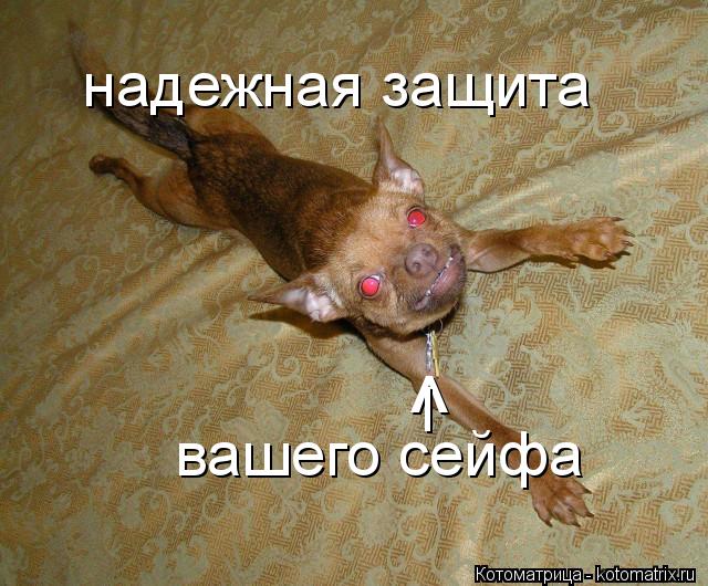^ надежная защита вашего сейфа I... Котоматрица: ^ надежная защита вашего сейфа I