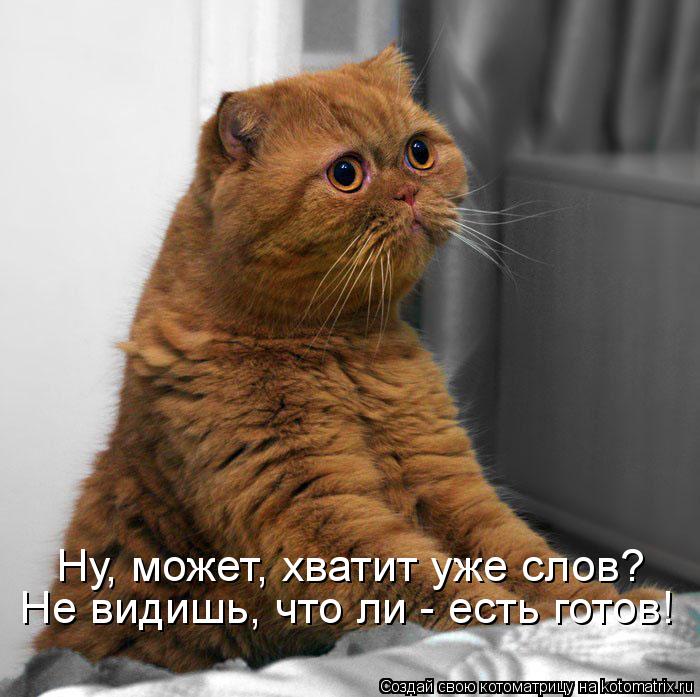 Ну, может, хватит уже слов? Не видишь, что ли - есть готов!... Котоматрица: Ну, может, хватит уже слов? Не видишь, что ли - есть готов!