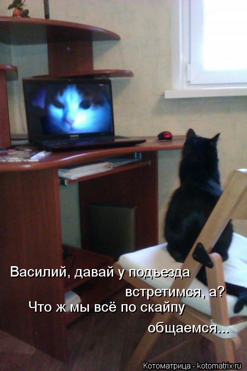 Василий, давай у подъезда встретимся, а? Что ж мы всё по скайпу общаемся...... Котоматрица: Василий, давай у подъезда встретимся, а? Что ж мы всё по скайпу общаемся...