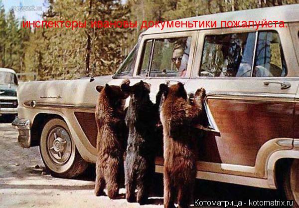 инспекторы ивановы докуменьтики пожалуйста.... Котоматрица: инспекторы ивановы докуменьтики пожалуйста.