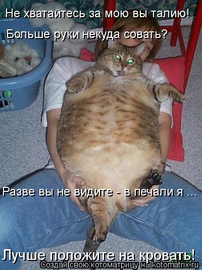 Не хватайтесь за мою вы талию! Больше руки некуда совать? Разве вы не видите - в печали я ... Лучше ... Котоматрица: Не хватайтесь за мою вы талию! Больше руки некуда совать? Разве вы не видите - в печали я ... Лучше положите на кровать!
