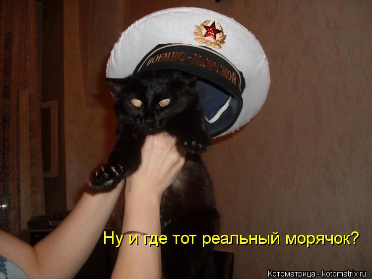 Ну и где тот реальный морячок?... Котоматрица: Ну и где тот реальный морячок?