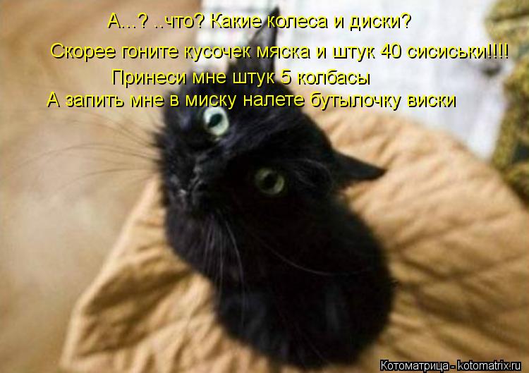 А...? ..что? Какие колеса и диски? Скорее гоните кусочек мяска и штук 40 сисиськи!!!! Принеси мне шту... Котоматрица: А...? ..что? Какие колеса и диски? Скорее гоните кусочек мяска и штук 40 сисиськи!!!! Принеси мне штук 5 колбасы А запить мне в миску налете бутыло