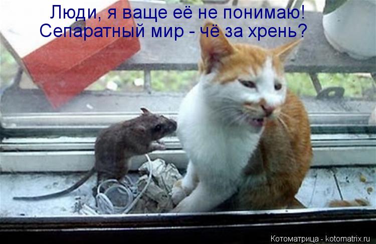 Люди, я ваще её не понимаю! Сепаратный мир - чё за хрень?... Котоматрица: Люди, я ваще её не понимаю! Сепаратный мир - чё за хрень?