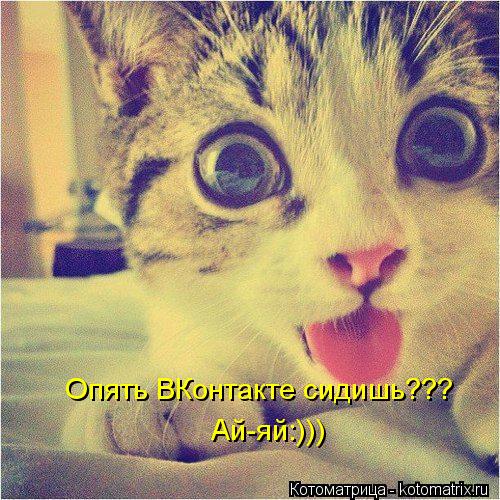 Опять ВКонтакте сидишь??? Ай-яй:)))... Котоматрица: Опять ВКонтакте сидишь??? Ай-яй:)))
