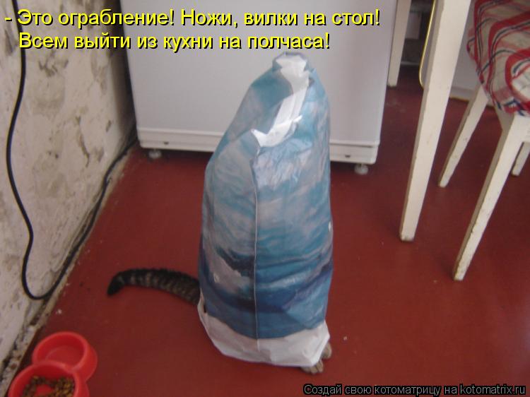 - Это ограбление! Ножи, вилки на стол! Всем выйти из кухни на полчаса!... Котоматрица: - Это ограбление! Ножи, вилки на стол! Всем выйти из кухни на полчаса!