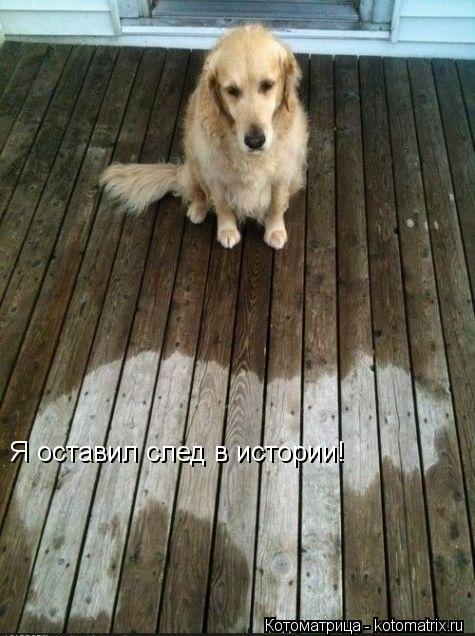 Я оставил след в истории!... Котоматрица: Я оставил след в истории!