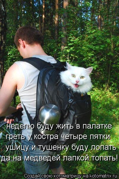 неделю буду жить в палатке греть у костра четыре пятки ушицу и тушенку буду лопать да на медведей лап... Котоматрица: неделю буду жить в палатке греть у костра четыре пятки ушицу и тушенку буду лопать да на медведей лапкой топать!