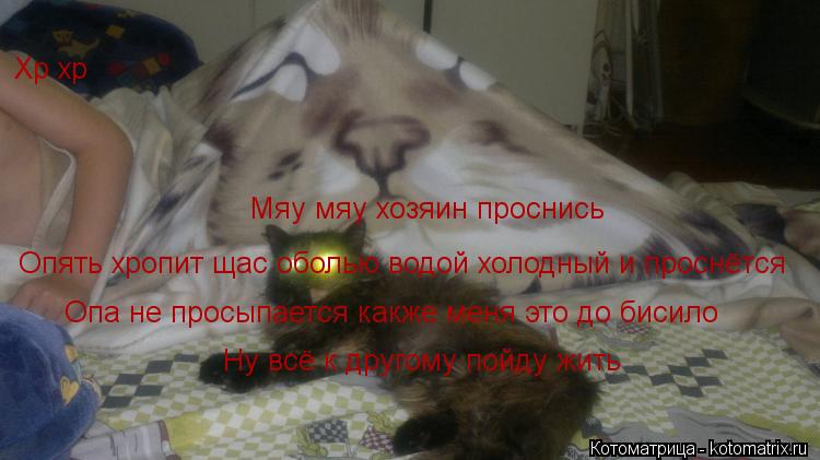 Мяу мяу хозяин проснись Хр хр Опять хропит щас оболью водой холодный и проснётся Опа не просыпается ... Котоматрица: Мяу мяу хозяин проснись Хр хр Опять хропит щас оболью водой холодный и проснётся Опа не просыпается какже меня это до бисило Ну всё к друго