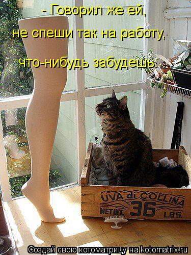 - Говорил же ей, не спеши так на работу, что-нибудь забудешь...... Котоматрица: - Говорил же ей, не спеши так на работу, что-нибудь забудешь...