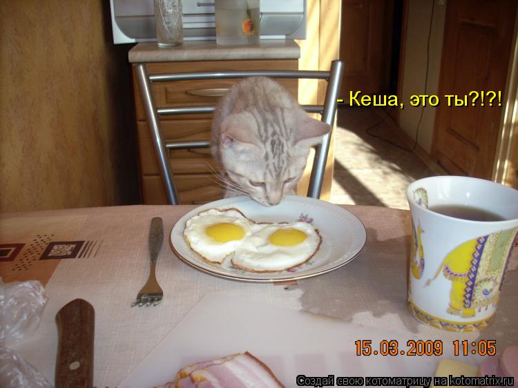 - Кеша, это ты?!?!... Котоматрица: - Кеша, это ты?!?!
