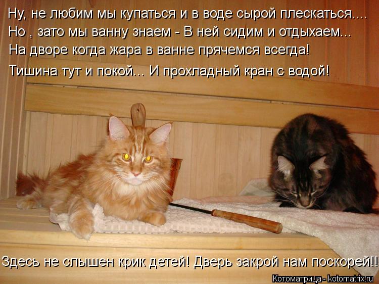 Ну, не любим мы купаться и в воде сырой плескаться.... Но , зато мы ванну знаем - В ней сидим и отдых... Котоматрица: Ну, не любим мы купаться и в воде сырой плескаться.... Но , зато мы ванну знаем - В ней сидим и отдыхаем... На дворе когда жара в ванне прячемся вс