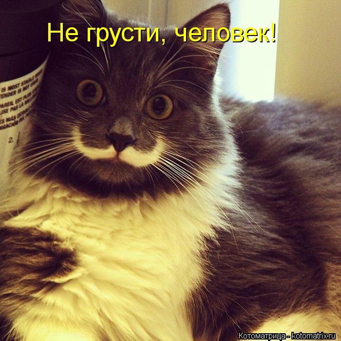 Не грусти, человек!... Котоматрица: Не грусти, человек!