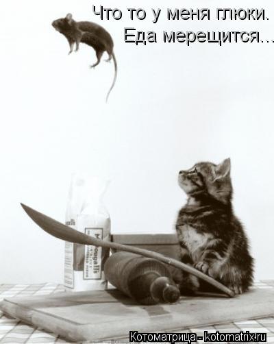 Что то у меня глюки. Еда мерещится...... Котоматрица: Что то у меня глюки. Еда мерещится...