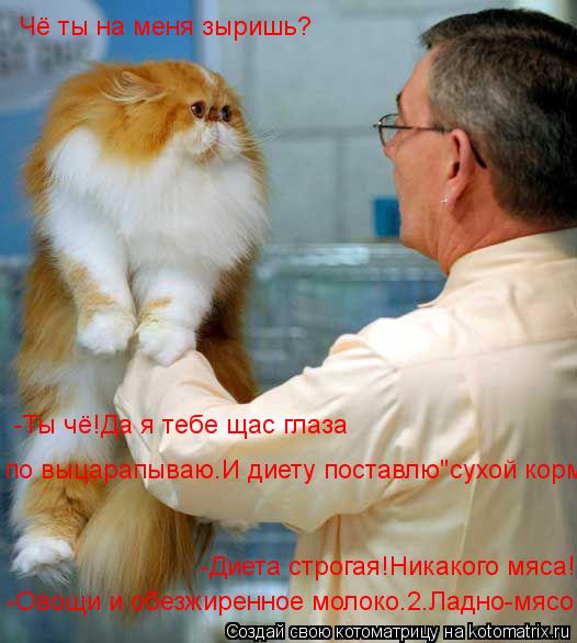Чё ты на меня зыришь? -Диета строгая!Никакого мяса! -Ты чё!Да я тебе щас глаза по выцарапываю.И диет... Котоматрица: Чё ты на меня зыришь? -Диета строгая!Никакого мяса! -Ты чё!Да я тебе щас глаза по выцарапываю.И диету поставлю"сухой корм -Овощи и обезжиренно