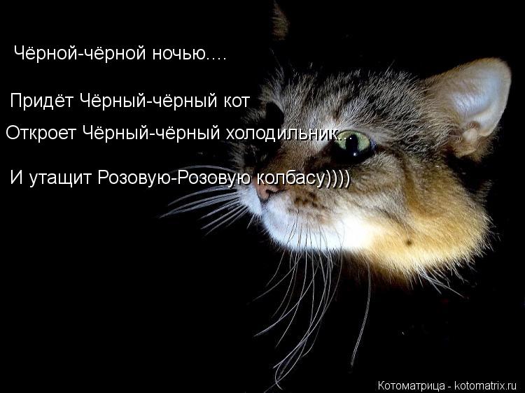 Чёрной-чёрной ночью.... Придёт Чёрный-чёрный кот Откроет Чёрный-чёрный холодильник... И утащит Розову... Котоматрица: Чёрной-чёрной ночью.... Придёт Чёрный-чёрный кот Откроет Чёрный-чёрный холодильник... И утащит Розовую-Розовую колбасу))))