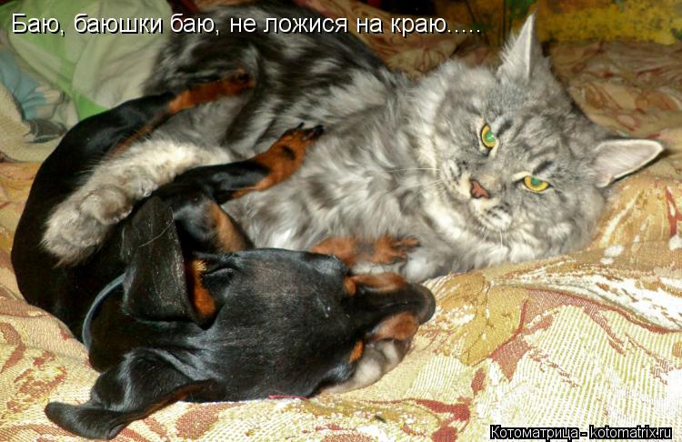 Баю, баюшки баю, не ложися на краю........ Котоматрица: Баю, баюшки баю, не ложися на краю.....