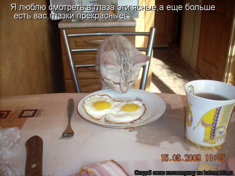 Я люблю смотреть в глаза эти ясные,а еще больше есть вас,глазки прекрасные!... Котоматрица: Я люблю смотреть в глаза эти ясные,а еще больше есть вас,глазки прекрасные!