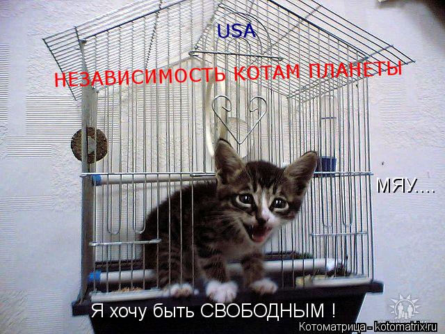 Я хочу быть СВОБОДНЫМ ! МЯУ.... НЕЗАВИСИМОСТЬ КОТАМ ПЛАНЕТЫ USA... Котоматрица: Я хочу быть СВОБОДНЫМ ! МЯУ.... НЕЗАВИСИМОСТЬ КОТАМ ПЛАНЕТЫ USA