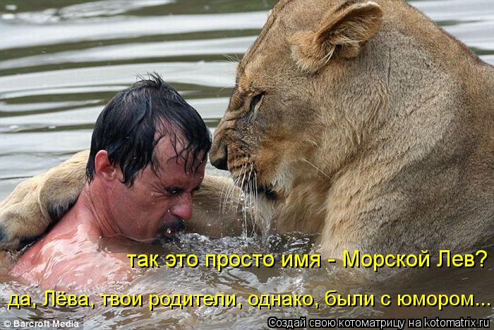 так это просто имя - Морской Лев? да, Лёва, твои родители, однако, были с юмором...... Котоматрица: так это просто имя - Морской Лев? да, Лёва, твои родители, однако, были с юмором...