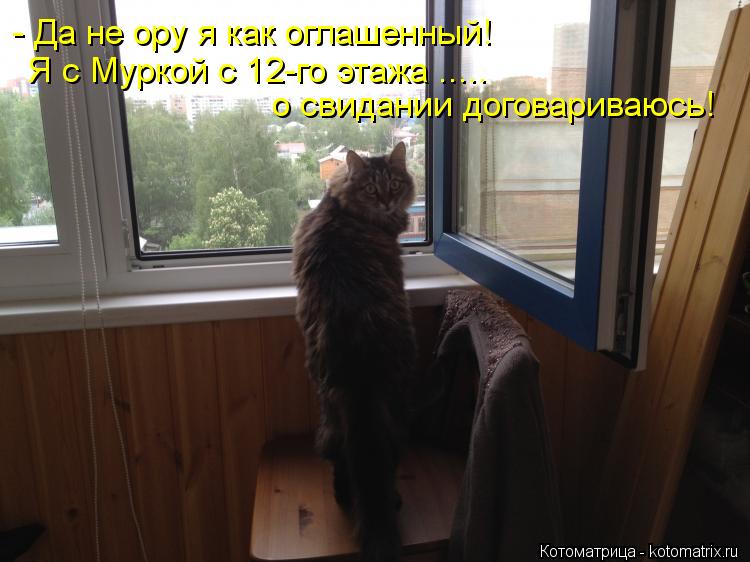 - Да не ору я как оглашенный! Я с Муркой с 12-го этажа ..... о свидании договариваюсь!... Котоматрица: - Да не ору я как оглашенный! Я с Муркой с 12-го этажа ..... о свидании договариваюсь!